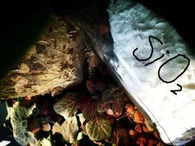 Foarte dispersabile de siliciu verde anvelope